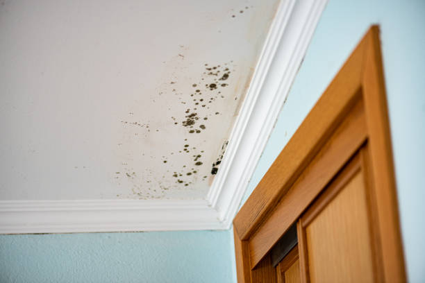 Water Damage Restoration in Alcoa, TN